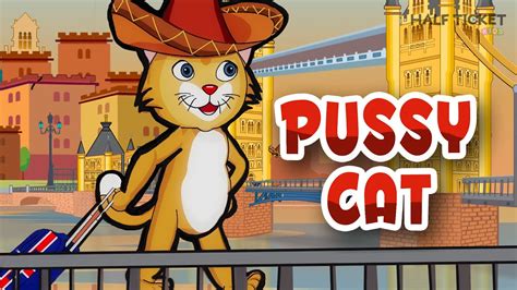 pussy videos|pussy videos